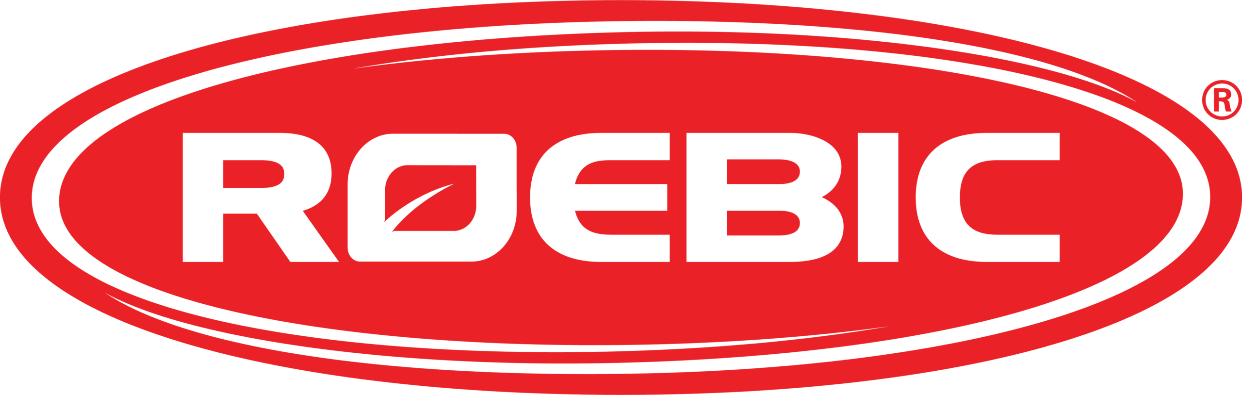 Roebic Laboratories